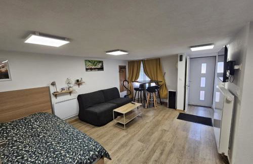 Résidence Marc - hébergement classé avec parking - Foto 14