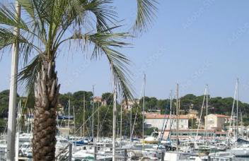 Cinema Room - grande terrasse - clim - Wifi - calme - mer - Foto 28