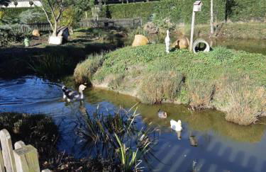 La mare aux canards - Foto 1