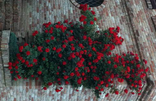 Agriturismo Relais "il Bricco" - Foto 123