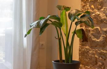 Serenity Luxury Estates - Foto 37