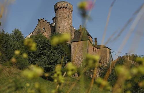 Holiday Home mit Garten im Naturpark Südeifel by Interhome - Foto 19
