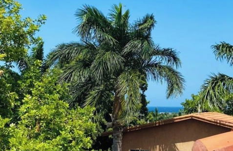 Angels Hideaway Blue Room - Photo 22