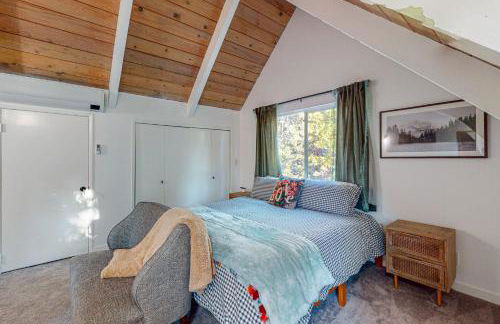 Saint Bernard Beauty - Foto 9