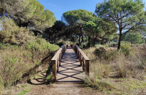 Cosy 2BR flat in Nuevo Portil city centre - Foto 21