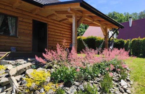 Kwietna łąka na szlaku - Foto 30