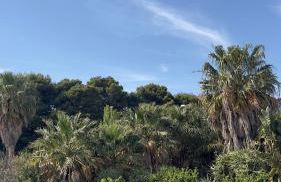 Villa Manù 1 - Foto 11