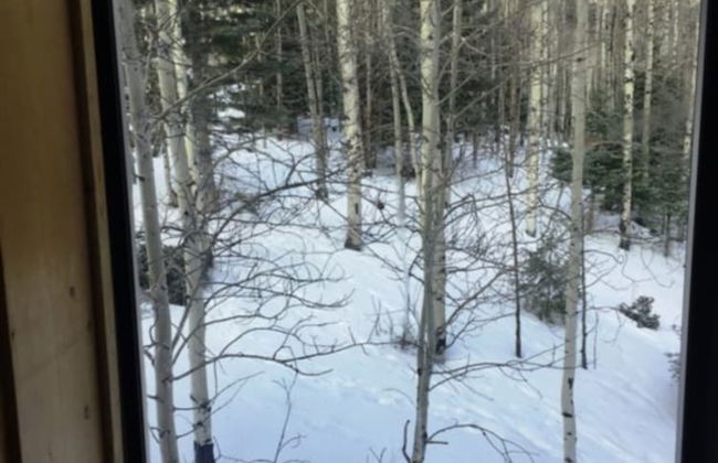 Cabin Share Phase 2 - Foto 22