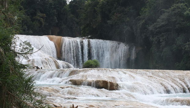 Cascadas de Agua Azul, Misol-Ha und Palenque - Foto 5