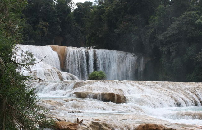Cascadas de Agua Azul, Misol-Ha und Palenque - Foto 5