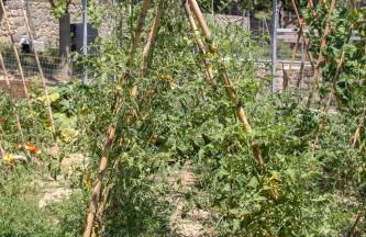 The Red Bougainvillea Apartments - Foto 78