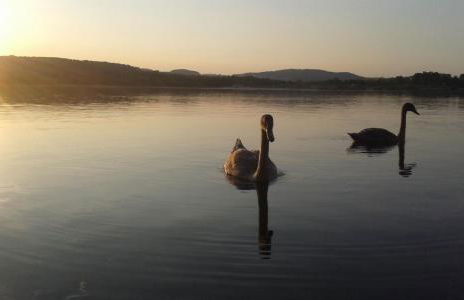 Ferienhaus Kaiserfelder - Foto 15