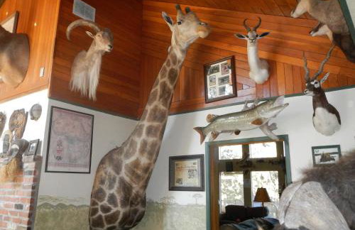 Whitebird Summit Lodge - Foto 10