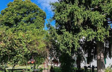 Dimora storica, appartamento in Villa Pampinuccia - Foto 31