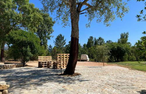 Quinta da Meda - Foto 25