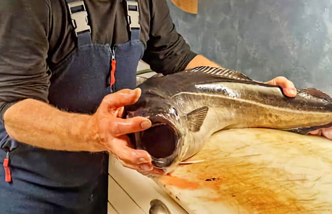 9 Person Holiday Home in Kortgarden - Foto 32