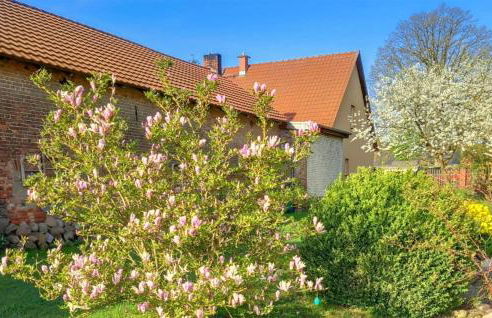 Ferienwohnung Rheinsberg - Foto 9