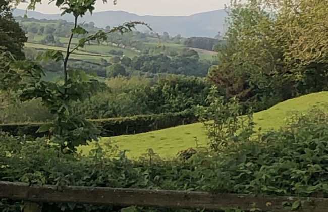 The Peacock Shepherds Hut at Hafoty Boeth - Foto 27