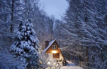 Leśny Zakątek - Foto 29