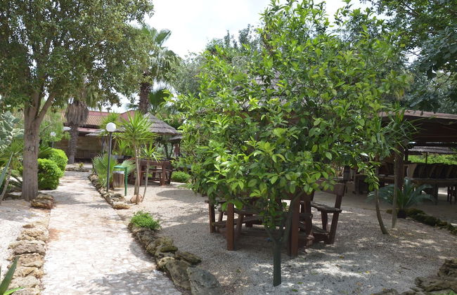 Masseria Pisciani - Photo 64