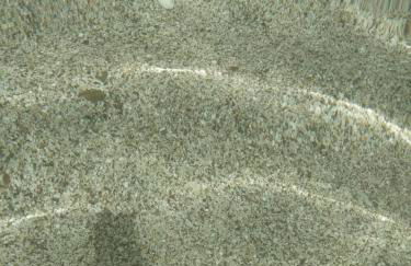 TERESA HOLIDAY - Foto 76