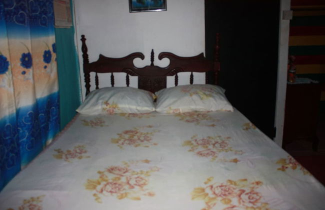 Nature in portland - Foto 17