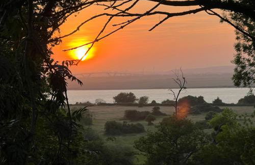 Les maisons du phare - Foto 17