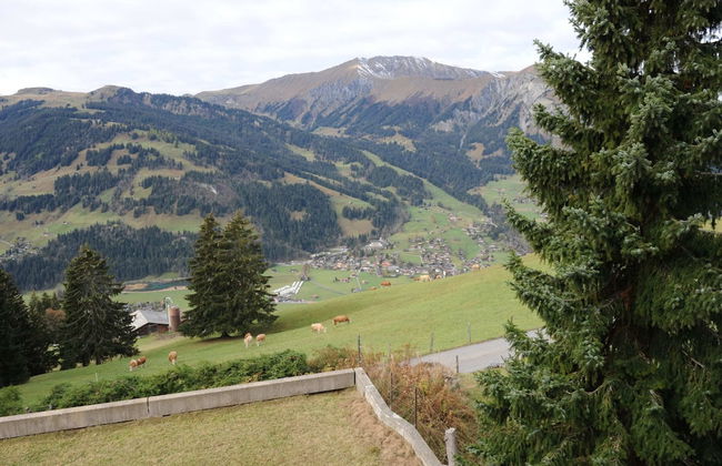 Chalet in Lenk Near Simmen Falls - Foto 26