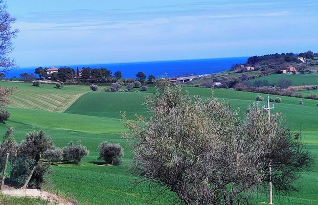 Rickymary House, Pet Friendly - Photo 1