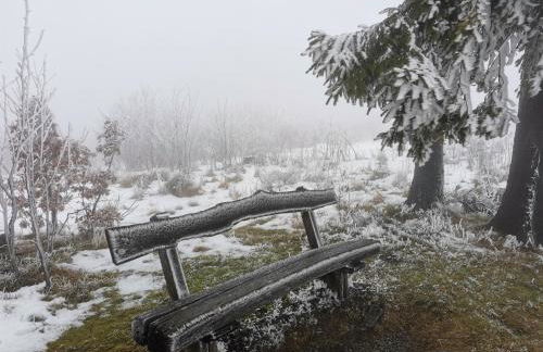 Auszeit-bei-Brandt im Sauerland - Foto 23