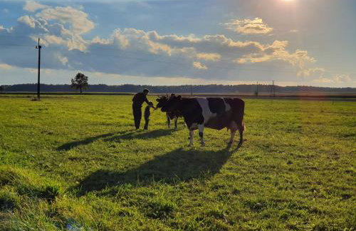 Królewska Sielanka - Foto 29