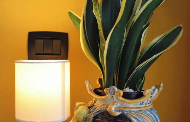 Fortuna Guest House - Foto 30