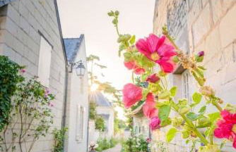 85 l idéal , quiet charm in Tours - Foto 80