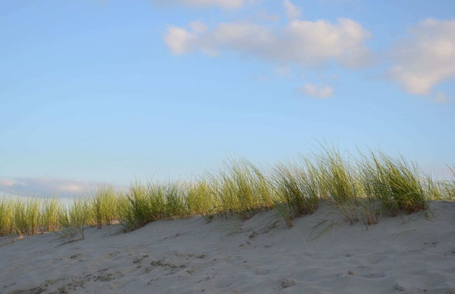 Bungalow in Dunes With Nautical Charm - Photo 34