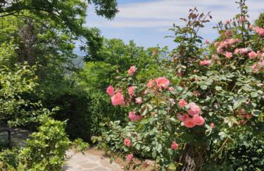 Un Giardino sul Lago - Foto 14