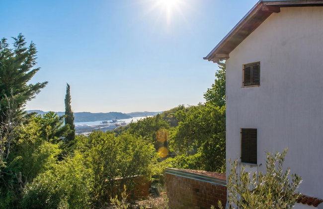 House In The Vineyards - Foto 20