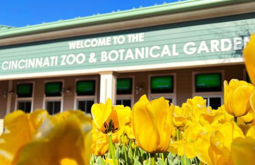 Oakley Square 3br Charmer - Total Walkability 3 Bedroom Home by RedAwning - Foto 72