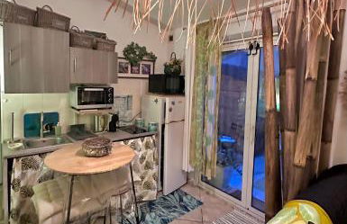 les pivoines - Foto 7