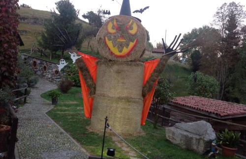 Agriturismo Barcola - Foto 19