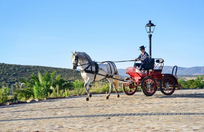 Casa Rural Yeguada Jimenez Latorre - Foto 27
