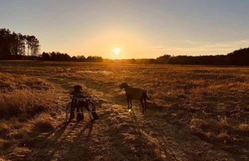 aResowa Wioska - Foto 35