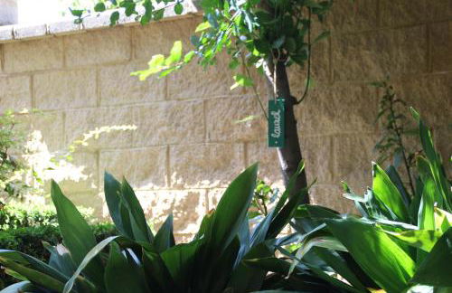 El jardín de la abuela - Foto 23