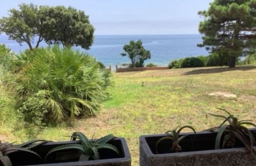 Pieds dans l'eau - La Villa Crique aux tortues - Foto 39