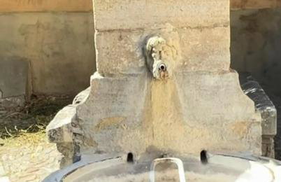 Cabane bambou - Photo 24