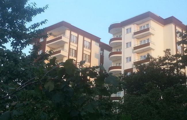 Royal Life Residence - Photo 39