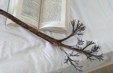 Casa Armonia - Foto 48