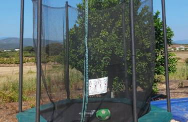 Casa dos pássaros - Foto 29