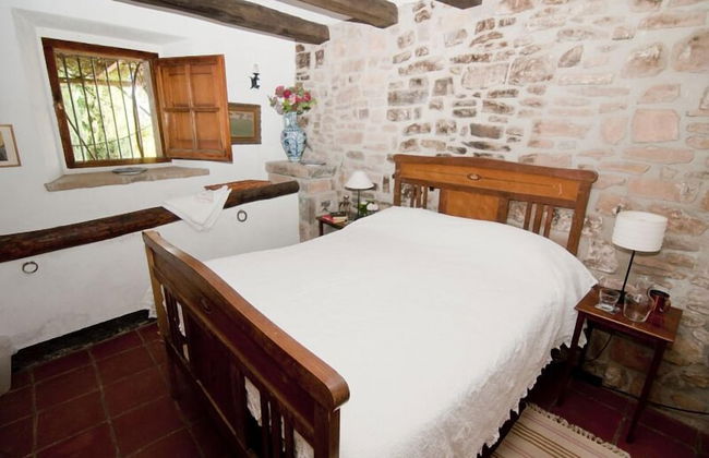 Celler Colltor - Photo 4