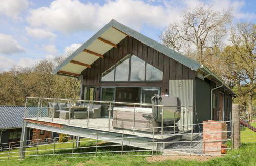 Barcud Coch - Red Kite - Photo 37