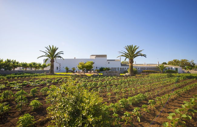 Agroturismo Llucmaçanes Gran - Foto 37